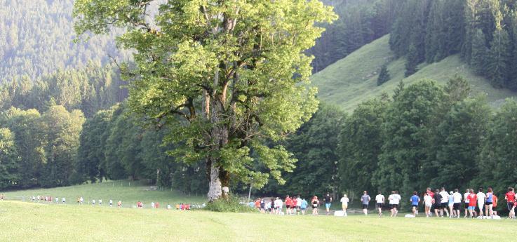 siniert der Autor über den steigenden