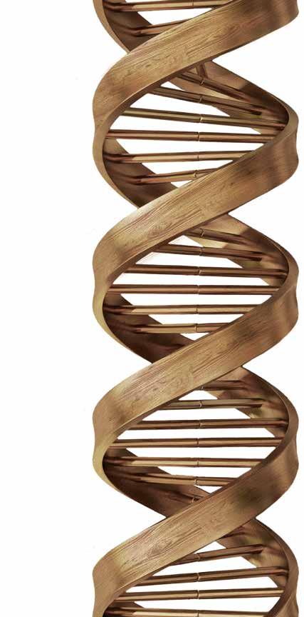 DIE ENTSCHEIDENSTEN HOLZBEARBEITUNGSTECHNOLOGIEN SIND BESTANDTEIL UNSERER DNA SCM EINE ENORME KOMPETENZ VEREINT ZU EINER EINZIGARTIGEN MARKE Mit über 65 Jahre Erfahrung ist SCM einer der