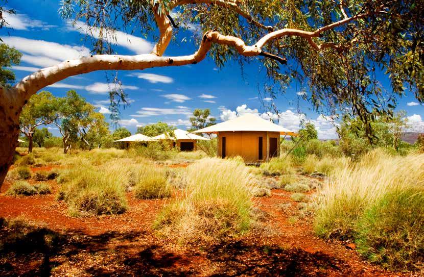 Glamping: Luxus und Natur pur Beim Glamping erleben Reisende die Natur, Weite und Wildnis Westaustraliens ohne auf die Annehmlichkeiten des Alltags zu verzichten.