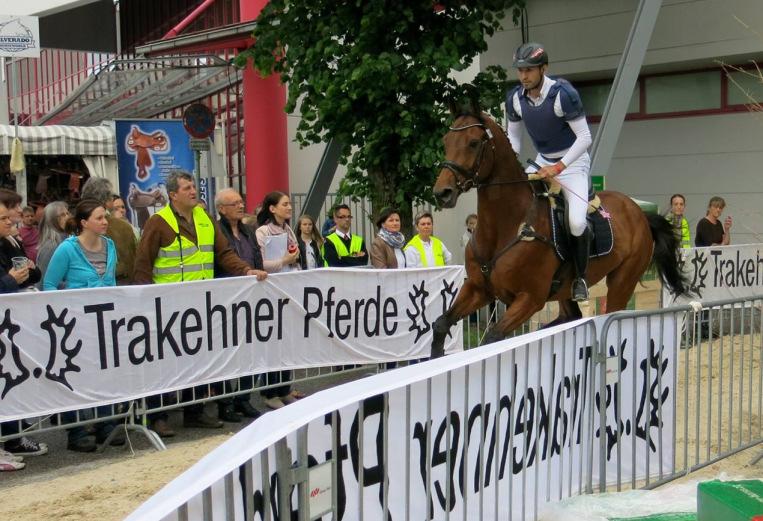 Die Trakehner IG auf der Messe Wels Trakehner brillieren in Wels! Von 16. bis 17. Mai fand in Oberösterreich die Pferd Wels statt. Zum 25.