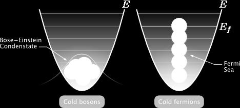 Ralph Fowler entdeckt 1926, dass der Quantendruck der Elektronen die Weißen Zwerge stabilisiert Bose-Einstein Kondensat Fermi-See Kalte Bosonen Kalte Fermionen Bose-Gase und Fermi-Gase verhalten sich