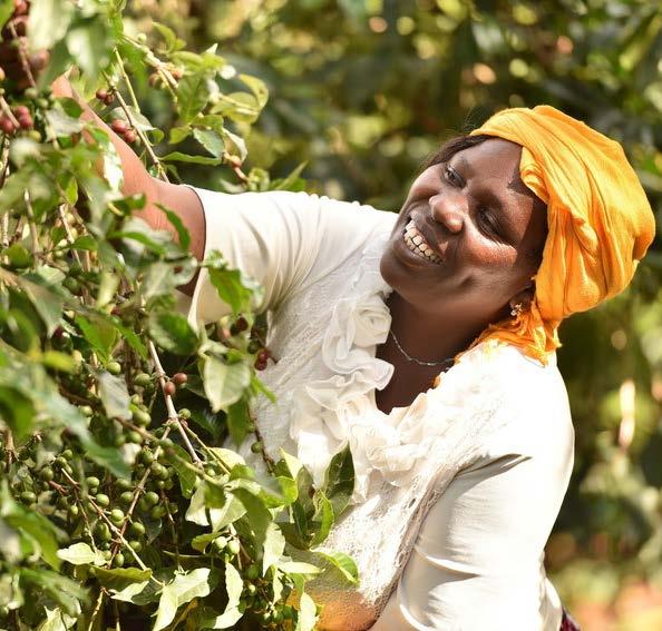 WICHTIGE STANDARDINHALTE Umweltschonende Produktion Ein Drittel der Vorgaben aus den Fairtrade-Standards zielen auf den Erhalt und den Schutz einer intakten Umwelt.