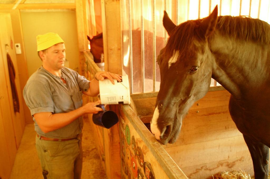 Eidgenössisches Departement des Innern EDI Bundesamt für Lebensmittelsicherheit und Veterinärwesen BLV Technische