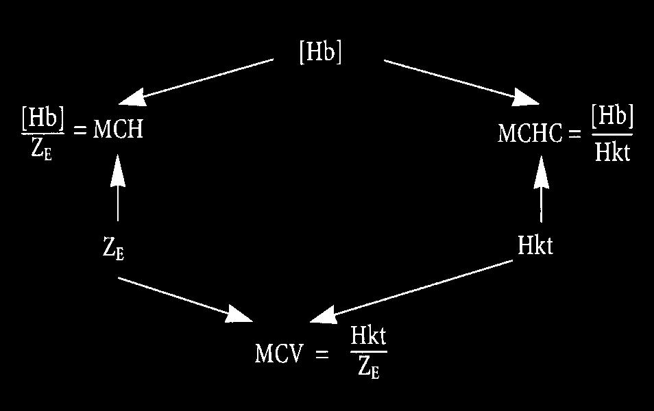 Beziehungen zwischen den Erythrozytenparametern 1. Erythrozytenzahl (Z E ) 5 x 10 6 / µl 2.