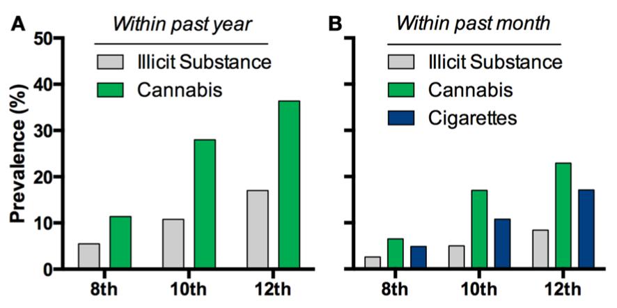 Cannabinoide als Risiko für junge Menschen Anwendungsgebiete von Cannabinoiden Auftreten psychischer Erkrankungen (%) im letzten Jahr im letzten Monat unerlaubte Substanzen unerlaubte Substanzen