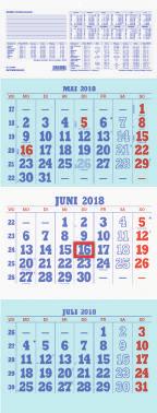 Druck: Blau/Rot. ZET908 6 Monate/1 Seite, A4 1,19 Wandplaner 16 Monate. Ferien-, Sonn- und Feiertage hervorgehoben.