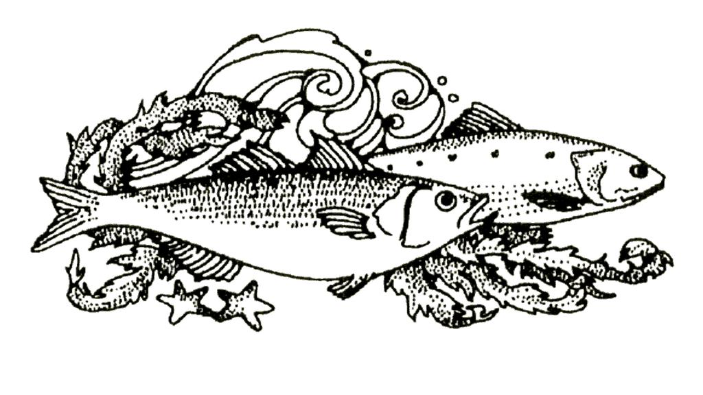 Fischgerichte Ragout vom Lachs mit Garnelen in Dillrahmsauce dazu Reis und einen grünen Salatteller 20,50 Frische Sauerland Forelle Blau oder nach Müllerinart, mit zerlassener Butter, Salzkartoffeln