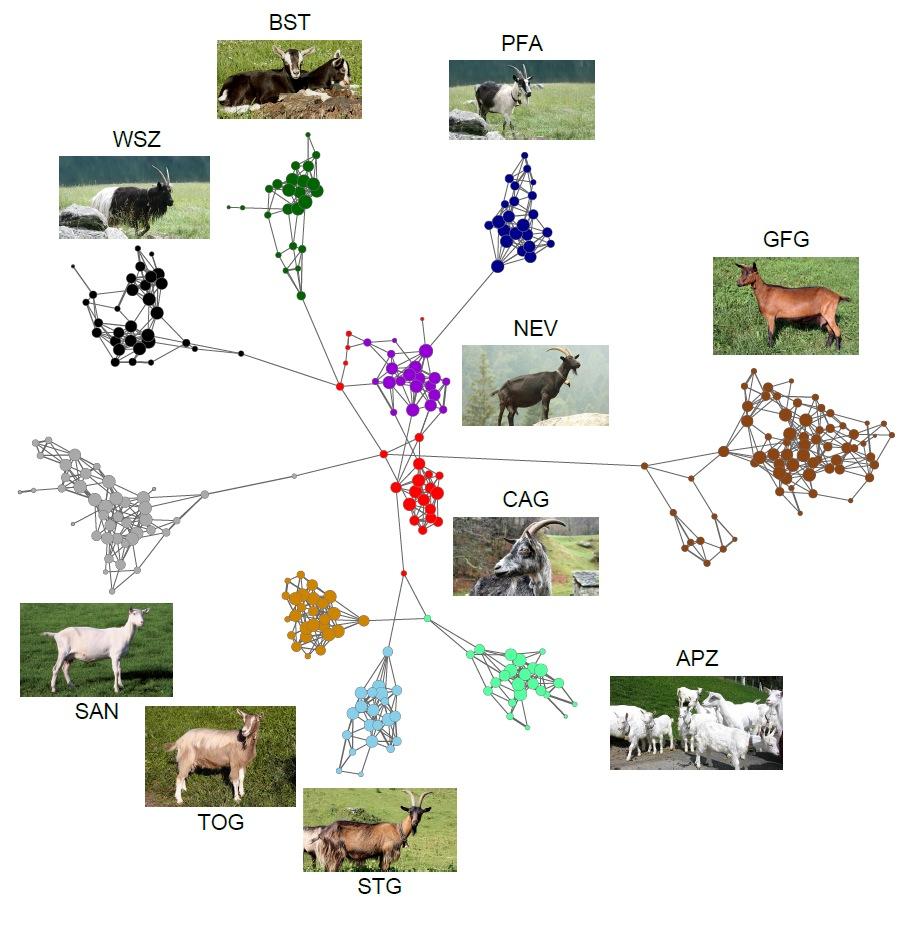 Ergebnis NETVIEW