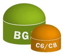 Beispiel CAPACIDY Von der Biogasanlage von
