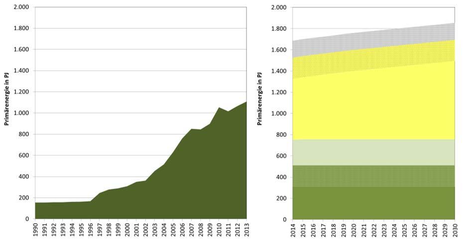Nationale Nutzung und Biomassepotenziale Aktuelle Nutzung Potenziale Landwirtschaftliche Biomasse Energiepflanzen einschl.