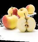 Obstbäume Äpfel Obstbäume Äpfel Kaiser Wilhelm Wittsfelden 1864 Wohlschmeckender Apfel mit himbeerähnlichem Aroma.