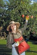 552727 alle Größen 99,00 Rostaing-Handschuh Chambord Zweifarbiger Volllederhandschuh mit hochfester Nylonvernähung für alle Gartenarbeiten.