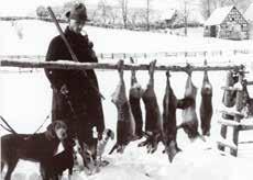 Angeheizt und fanatisch geführt wurde das ganze Prozedere von dem Züchter und Bundesvorsitzenden des Deutschen Jagdterrier-Clubs, Dr. Lackner.