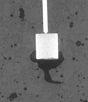 Die elektrochemischen Messungen an der Elektrode zeigten infolge der Spaltkorrosion niedrige Polarisationswiderstände.
