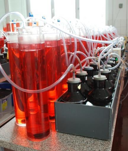 bei 25 C Batch-Gärtests in 2-Liter-Fermentern, Arbeitsvolumen 1,5 L Analyse der Silagen ohne weitere Vorbehandlung