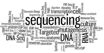 Next-Generation-Sequencing: Das Comeback der Sequenzierung Nicht mehr nur Genom-Sequenzierung sondern auch
