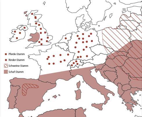Abbildung 2: Geografische Verbreitung von Echinococcus granulosus in Europa Fazit für die Praxis Für die sachgerechte Beratung rund um den Schutz von Hunden und Katzen vor einem Wurmbefall reicht es