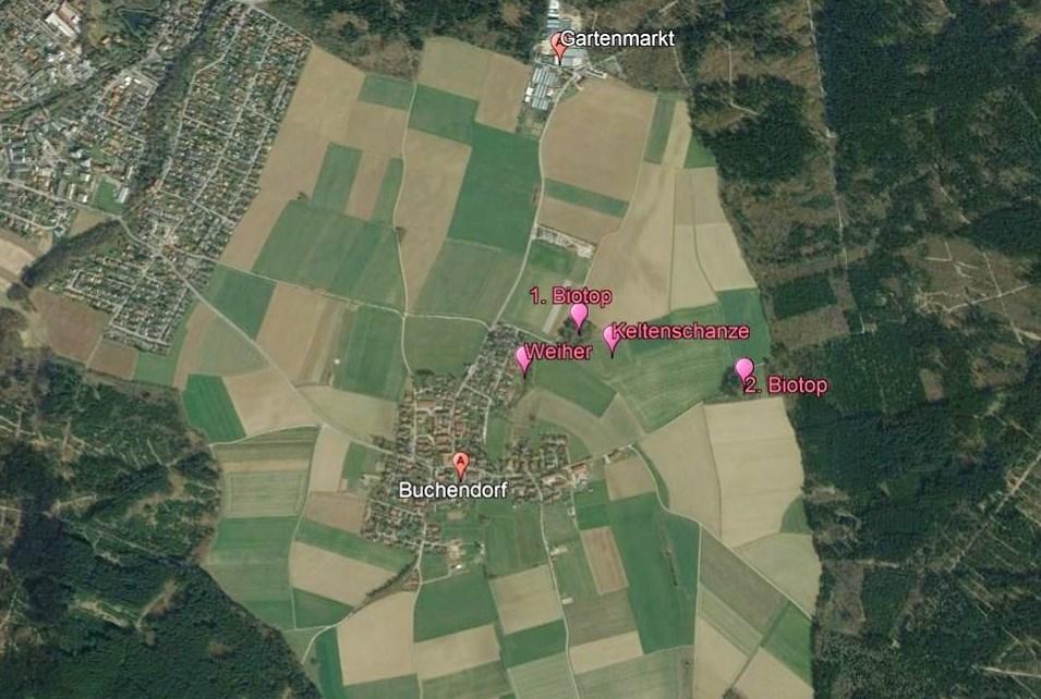 3. Gebietsbeschreibung und Route Rund um Buchendorf befindet sich eine ca. 300 Hektar große Agrarlandschaft, die als Rodungsinsel entstanden ist.