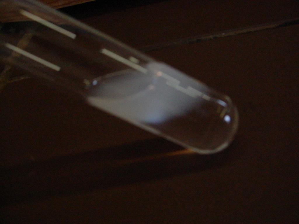 Beim Primären Butylchlorid (Reagenzglas 1, Foto B links) erfolgt auch nach Schütteln keine Reaktion. C Entsorgung: Die Chemikalien werden sauer in die Silberabfälle entsorgt.