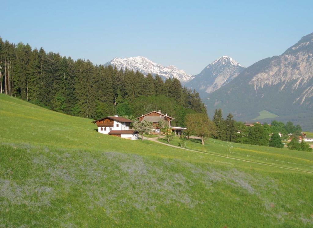 BLUMENDORF REITH IM ALPBACHTAL Ferien in Reith im Alpbachtal Am Fusse der Kitzbüheler und Zillertaler Alpen liegt das Alpbachtal. Alpbach gilt als eines der schönsten Dörfer Österreichs.