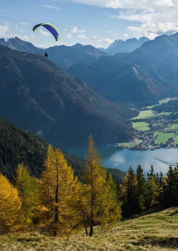 Auf einen Blick die Steuer vorteile einer privaten Rentenversicherung. Grund zur Freude bei der Kapitalauszahlung: Nur die Hälfte des Ertrags wird besteuert.