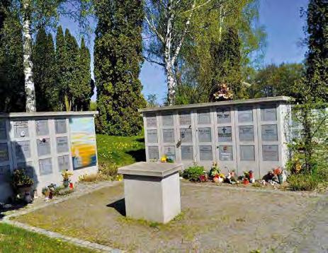6 BESTATTUNGSFORMEN AUF DEM DREIFALTIGKEITSBERGFRIEDHOF Die Friedhofsverwaltung der Stadt Regensburg bietet neben den klassischen Bestattungsarten eine Vielzahl an neuen und innovativen