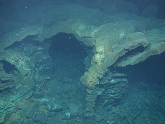 gesichteten diffusen Hydrothermalfeld und führte durch eine bizarre Unterwasserlandschaft aus Lavasäulen und Lavagewölben mit ausgedehnten Höhlen schließlich in ein nahe bei Liliput gelegenes