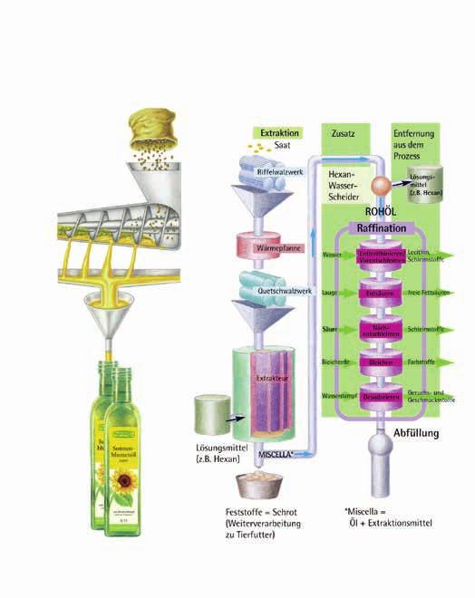 Die Herstellungsarten im Vergleich Herstellung der nativen Rapunzel Speiseöle Industrielle Ölpressanlage für Speiseöle Ausgesuchte