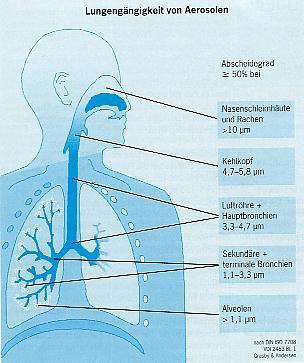 Exposition und gesundheitliche Wirkungen Expositionspfade: inhalativ oral dermal Relevante Exposition: inhalative Aufnahme Lungengängigkeit von Aerosolen Abscheidegrad >95% bei Nasenschleimhäute +