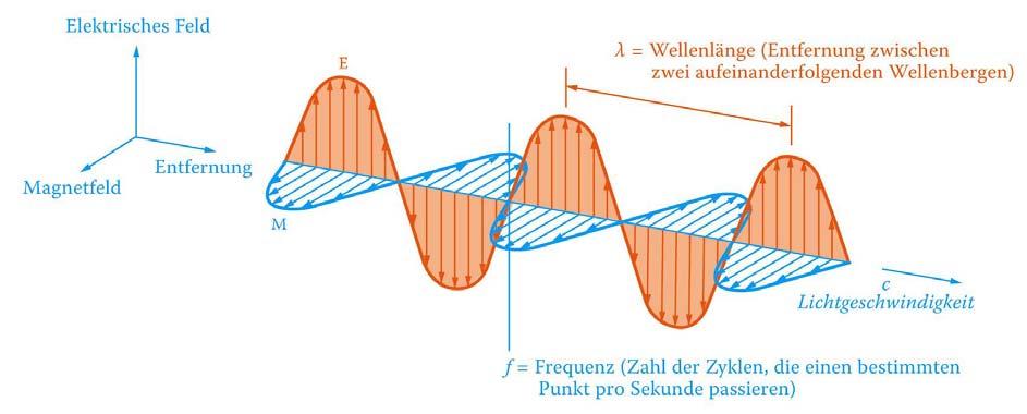 Licht als Wellen- und Teilchenerscheinung nen materiellen Träger, im Gegensatz zu den mechanischen Wellen. Die Energie dieser Wellen ist abhängig von der Wellenlänge (bzw. Frequenz).