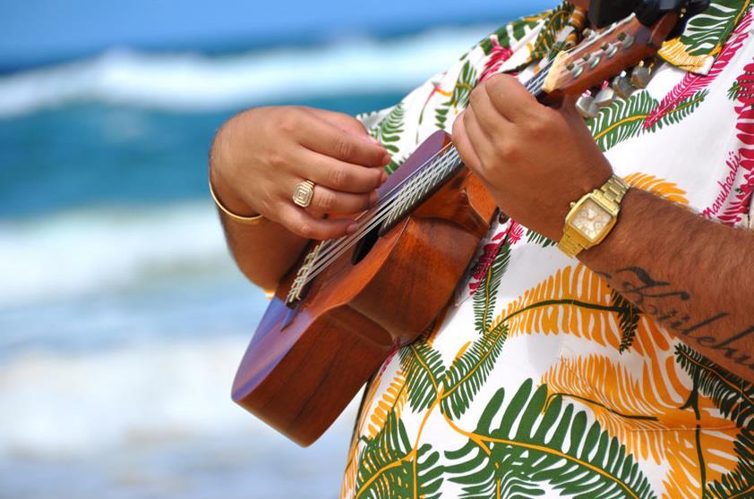 vortragen. Lassen Sie sich verzaubern von dem berühmten The Hawaiian Wedding Song. Er wird es nur für Sie alleine singen Ein unvergessliches Erlebnis!