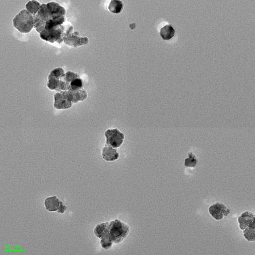 Cell Medium Cell Medium Particle H size (nm) TEM 2 O (10% FCS) (10% FCS) CeO 2 #A 8 80 417-11.3 CeO 2 #B 30 176 316-12.