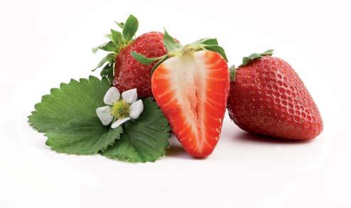 1 kg Erdbeeren 1/2 l Wasser für Beeren Erdbeeren waschen, von den Stielen befreien, mit dem Wasser in einem Topf zum Kochen bringen und 5-10 Minuten