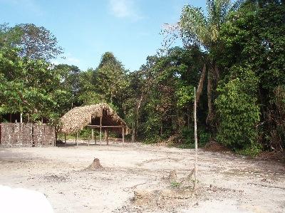 Die Amazon Eco Lodge liegt nur ungefähr eine Stunde Transferweg von Manaus entfernt.