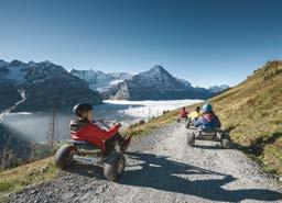 The Schynige Platte Railway will be celebrating its 5 th anniversary in 08. Enjoy a train ride from a bygone era amble along the various panorama hiking trails.