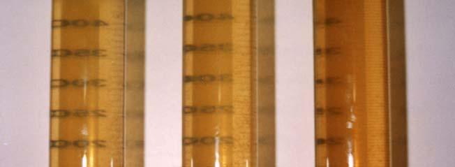 Kriterium Sedimentationstrub Ermittlung erfolgt in einem Standzylinder mit graduierter Skala.