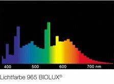 4. Farbwiedergabe Das Spektrum von Kunstlicht ist dem von Tageslicht immer nur angenähert.