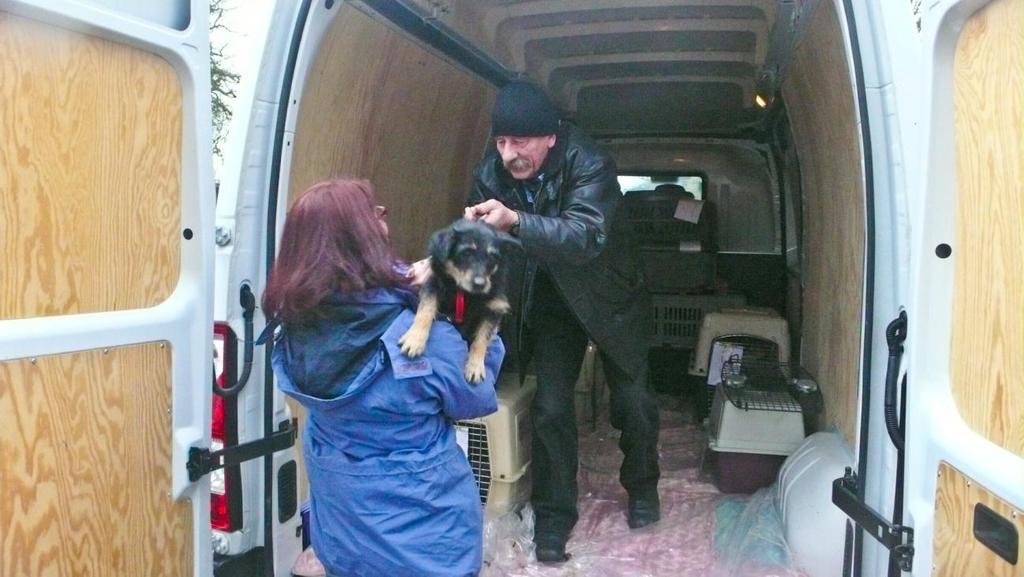 Andere waren mit Ex-Boguszycer-Hunden da und freuten sich auf einen Wiedersehen. Alle hatten im Kofferraum viele Spenden dabei.