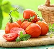 Kulinarisches Traumpaar Tomaten und Basilikum sind das Dreamteam des Sommers! Wichtig ist, dass nur wirklich vollreife Tomaten verwendet werden am besten sonnenwarm gepflückt.