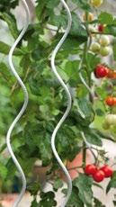 Düngen Im Frühjahr kann der Boden mit Kompost verbessert werden. Tomaten sollten regelmäßig bis zur Ernte gedüngt werden.
