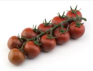 Gardenberry F1 Besonderheit: Herzformige Tomate Anbaueignung in kalten