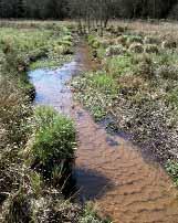 Belastungen durch Abflussregulierungen und verminderte Durchgängigkeit Querbauwerke, z. B. Wehranlagen, mit ihrer abflussregulierenden Wirkung unterbrechen das Kontinuum der Fließgewässer.
