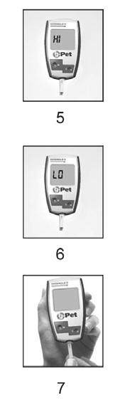 Seite 19 Aufbringen der Blutprobe 5. Das g-pet Glukometer misst in einem Bereich zwischen 1,1 bis 33,3 mmol / L (20-600 mg / dl).