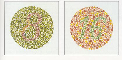 Farbfehlsichtigkeit Anomalien: Wahrgenommener Farbraum kann mit immer noch mit 3 Primärvalenzen beschrieben werden Protanomalie Schwäche in der Rot-Grün