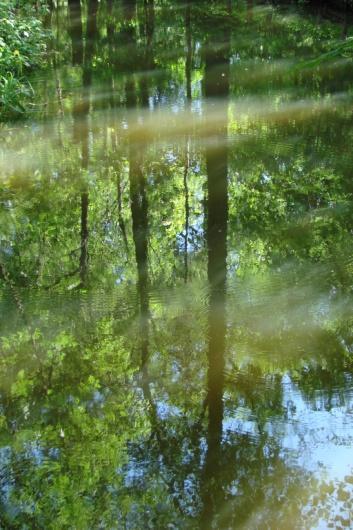 2011 Es geht weiter durch den Spreewald auf Alleenwegen, die zu beiden Seiten von Fließen begleitet