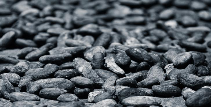 Der Rohkakaoanbau Westafrikas findet in erster Linie in kleinbäuerlichen Familienbetrieben statt, die durchschnittlich weniger als fünf Hektar Kakaoanbaufläche bewirtschaften.