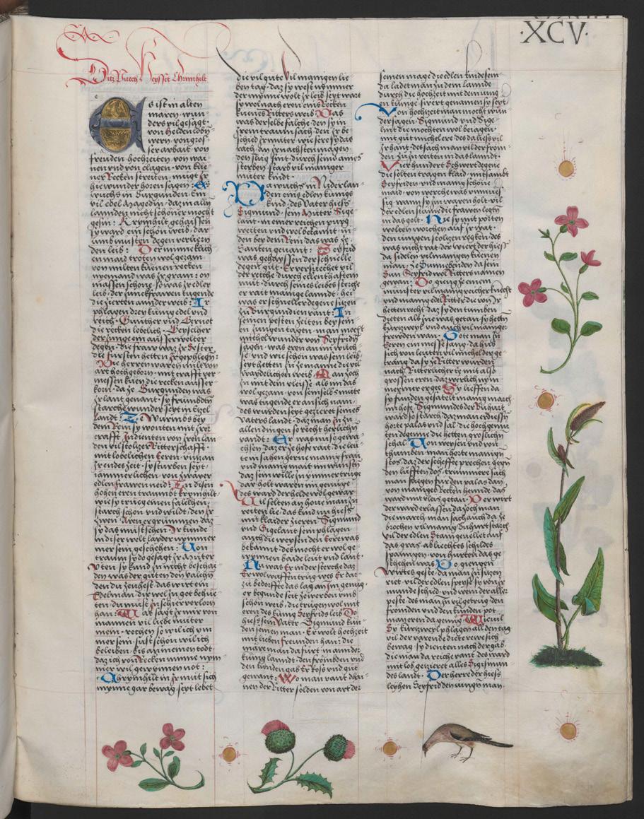 52 Randverzierungen stellen Pflanzen und Tiere dar. Das Nibelungenlied wurde in der Handschrift auf den Blättern 95r-127v überliefert.