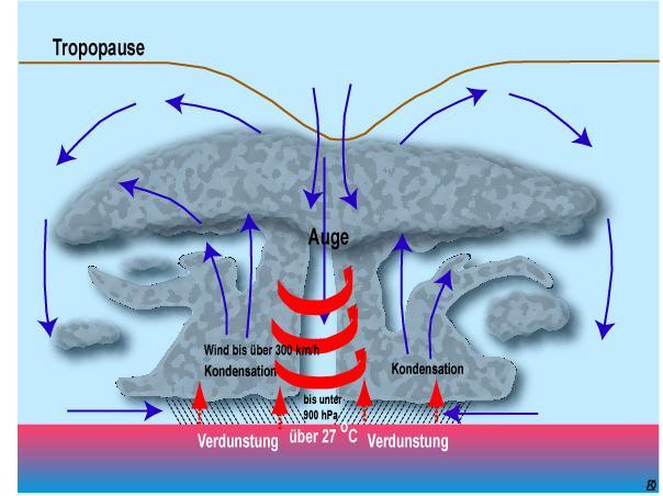 Eigenschaften und Aufbau Tropische Wirbelstürme können in Extremfällen bis zu 2000 km groß werden. Die Struktur eines tropischen Wirbelsturms ist sehr markant.