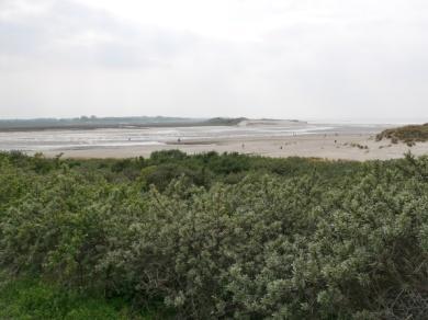 6 Die Umgebung Der Bungalow befindet sich in unmittelbarer Nähe des Strands und des Salznaturgebiets Het Zwin.