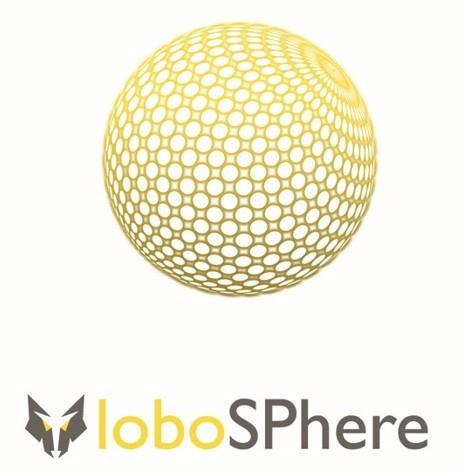 lobosphere framework for Business Apps Mit lobosphere framework for business apps können Sie standardisierte und Unternehmens individuelle SharePoint Business Applikationen in kürzerer Zeit und mit